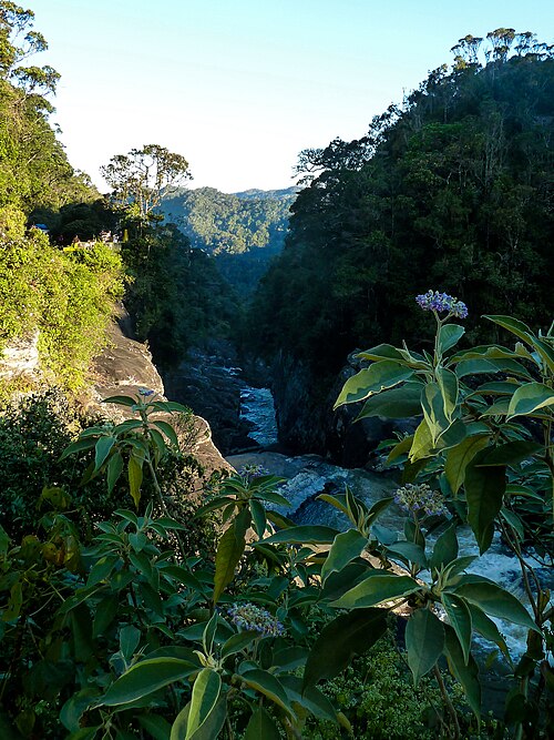 Parc national de Ranomafana