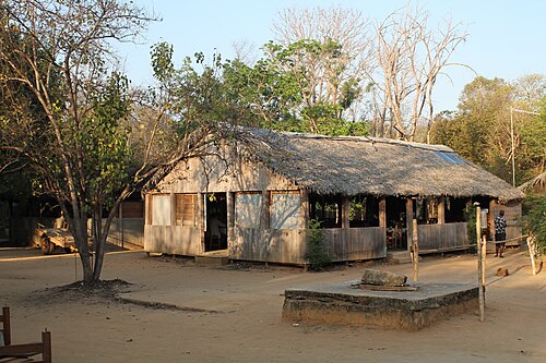 Kirindy Forest