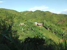 Parc National de Marolambo